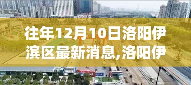 洛陽伊濱區(qū)隱秘小巷探秘，味覺奇跡之旅揭曉最新消息（獨(dú)家標(biāo)題）