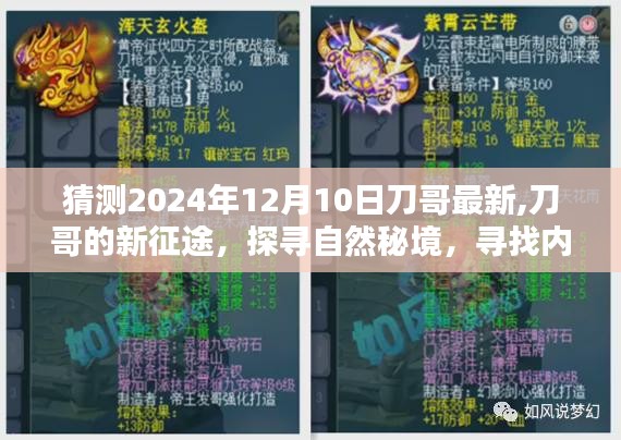 刀哥的新征途，探尋自然秘境，尋找心靈寧靜與樂趣（最新預測2024年12月10日）