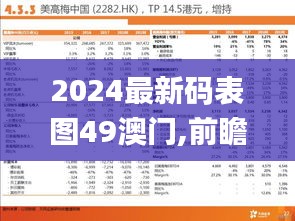 2024最新碼表圖49澳門,前瞻性戰(zhàn)略定義探討_領(lǐng)航款6.271