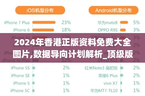 2024年香港正版資料免費大全圖片,數(shù)據(jù)導向計劃解析_頂級版7.710