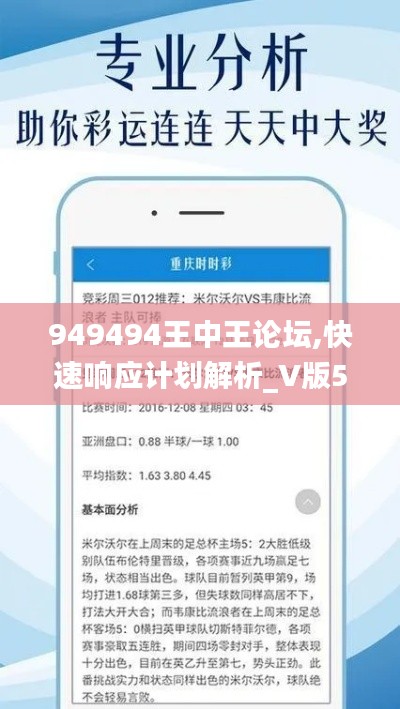 949494王中王論壇,快速響應(yīng)計劃解析_V版5.356