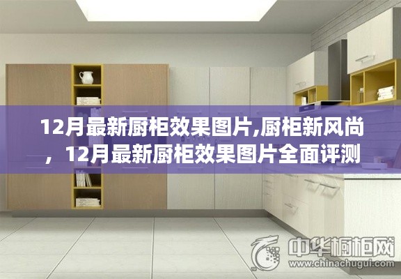廚柜新風(fēng)尚，全面評測12月最新廚柜效果圖片