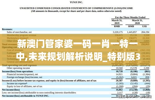 新澳門(mén)管家婆一碼一肖一特一中,未來(lái)規(guī)劃解析說(shuō)明_特別版3.749