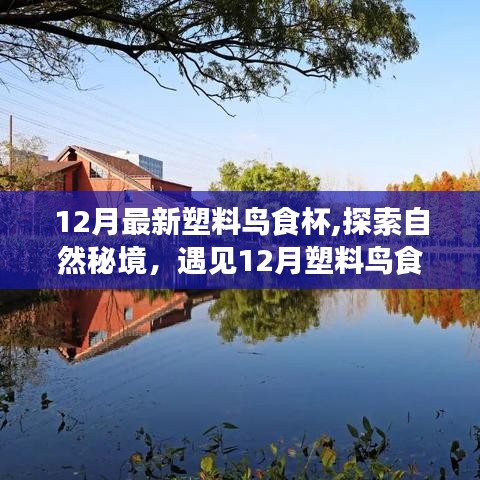 探索自然秘境，遇見奇妙的塑料鳥食杯之旅，尋找內(nèi)心的寧靜與平和