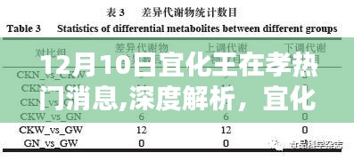 宜化王在孝產(chǎn)品深度解析與評(píng)測(cè)，產(chǎn)品特性、用戶體驗(yàn)與目標(biāo)用戶群體分析——最新熱門消息速遞