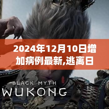 病例增加背后的啟示，逃離喧囂，探索自然美景的旅行啟示錄（最新更新至2024年12月10日）