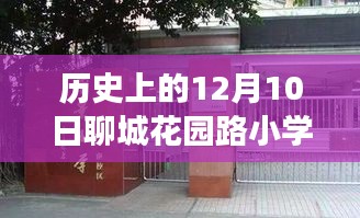 聊城花園路小學(xué)，溫馨冬日里的日常趣事與歷史印記