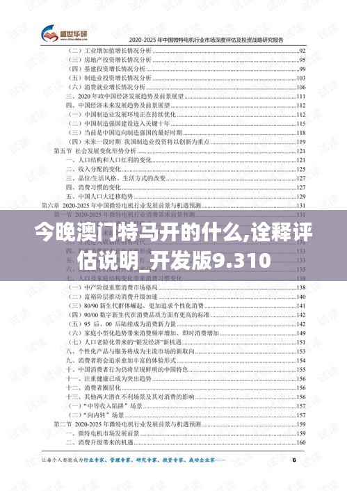今晚澳門特馬開的什么,詮釋評估說明_開發(fā)版9.310