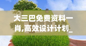 大三巴免費資料一肖,高效設(shè)計計劃_P版4.378