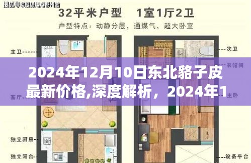 2024年12月10日東北貉子皮最新價(jià)格深度解析，價(jià)格、特性、用戶(hù)體驗(yàn)與目標(biāo)用戶(hù)群體分析