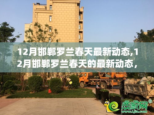 揭秘12月邯鄲羅蘭春天最新動態(tài)，三大看點一覽無余