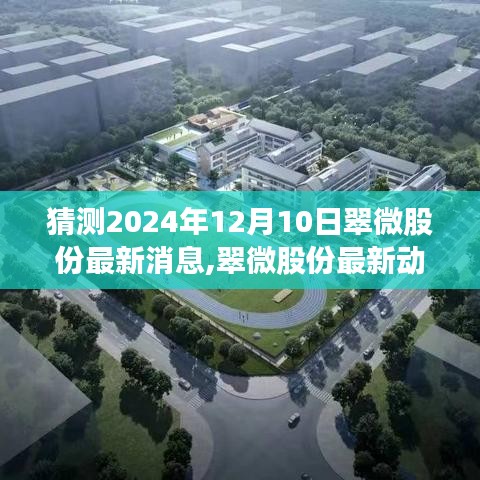 翠微股份未來展望深度評測，最新動態(tài)猜想與深度評測，展望至2024年12月10日