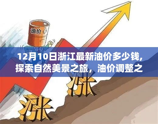 浙江油價調(diào)整日，寧靜之旅探尋自然美景，油價與美景的雙重體驗