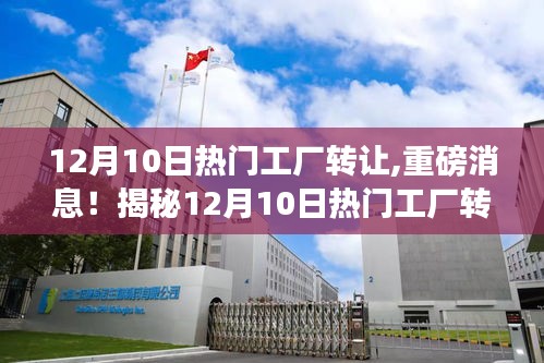 揭秘，12月10日工廠轉(zhuǎn)讓背后的三大要點及重磅消息曝光！