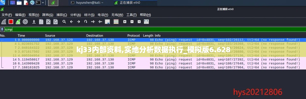 kj33內(nèi)部資料,實(shí)地分析數(shù)據(jù)執(zhí)行_模擬版6.628