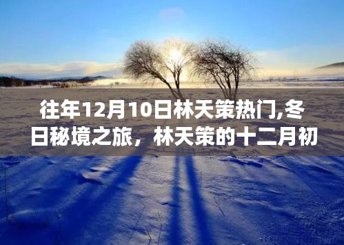 高人雅士 第5頁