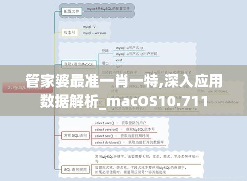 管家婆最準一肖一特,深入應用數(shù)據(jù)解析_macOS10.711