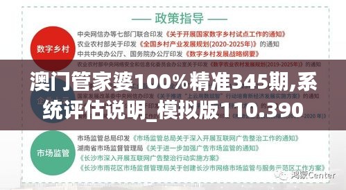澳門管家婆100%精準(zhǔn)345期,系統(tǒng)評(píng)估說明_模擬版110.390