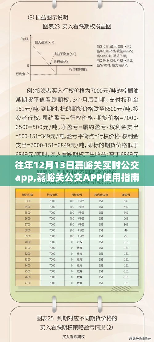 嘉峪關(guān)公交APP使用指南，歷年12月13日數(shù)據(jù)詳解，適合初學(xué)者與進(jìn)階用戶