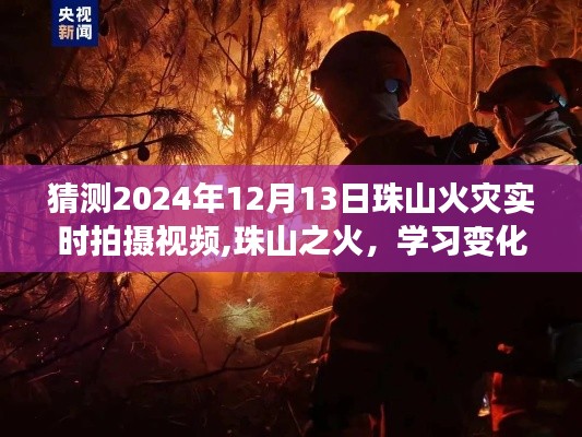 珠山火災最新進展，揭秘燃燒背后的變化與成就之光（實時更新）