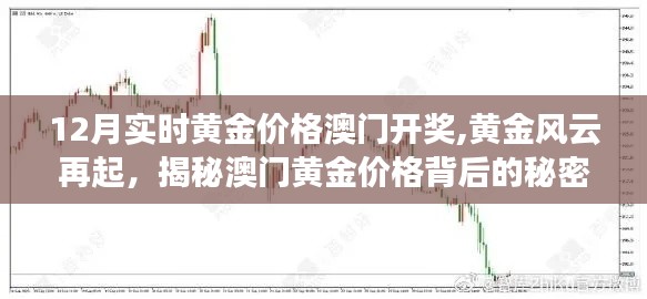 揭秘黃金風(fēng)云背后的秘密，澳門黃金價(jià)格的犯罪真相與犯罪問題探討