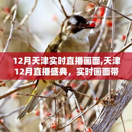 天津直播盛典，實時畫面展現(xiàn)冬日風情
