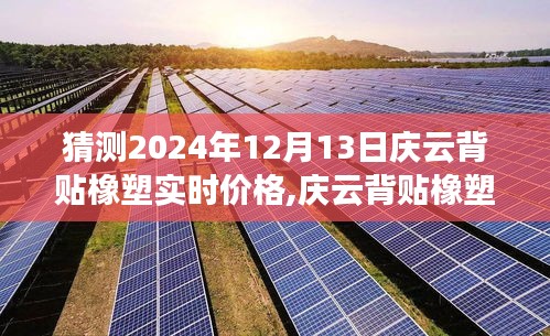慶云背貼橡塑最新行情預測，聚焦2024年12月13日的行業(yè)洞察與價格預測分析