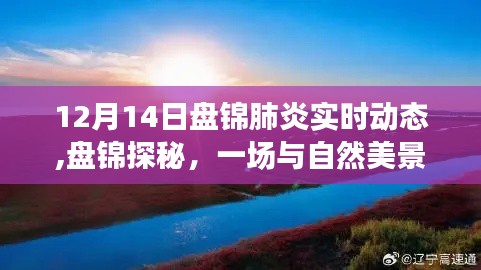 盤錦肺炎實時動態(tài)與冬日自然美景探秘，追尋內(nèi)心的寧靜與平和