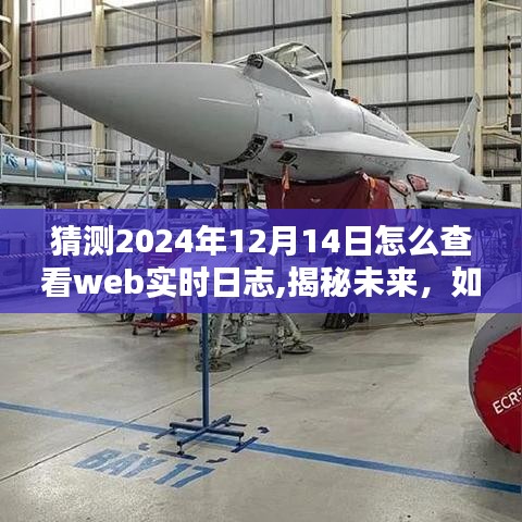 揭秘未來網(wǎng)絡(luò)動態(tài)，如何在線實時查看Web日志洞悉2024年12月14日網(wǎng)絡(luò)實時動態(tài)解析
