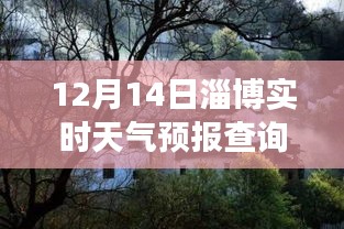 花開無言 第4頁