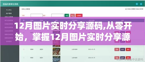 掌握12月圖片實(shí)時(shí)分享源碼，詳細(xì)步驟指南與源碼分享