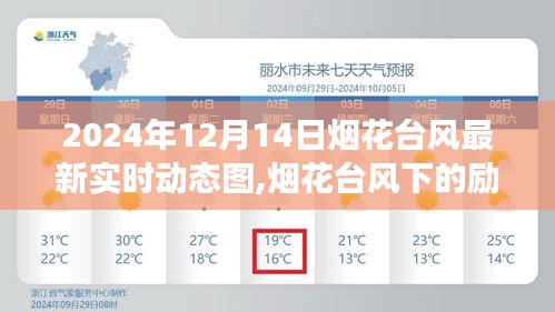 煙花臺(tái)風(fēng)下的勵(lì)志之光，實(shí)時(shí)動(dòng)態(tài)圖記錄學(xué)習(xí)成長(zhǎng)與自信塑造之旅