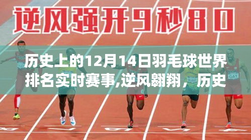歷史上的羽毛球巔峰對決，逆風(fēng)翱翔背后的故事，回顧十二月十四日世界排名實時賽事