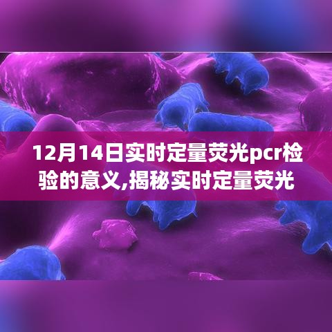 揭秘實時定量熒光PCR檢驗，在醫(yī)學診斷中的科學意義與重要性（12月14日）