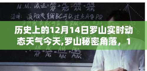 羅山秘密角落美食之旅，探尋12月14日獨(dú)特天氣下的驚喜美食與實(shí)時(shí)動(dòng)態(tài)天氣體驗(yàn)