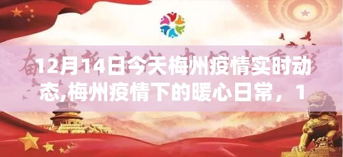 梅州疫情下的暖心日常，實(shí)時(shí)動(dòng)態(tài)與溫馨時(shí)光