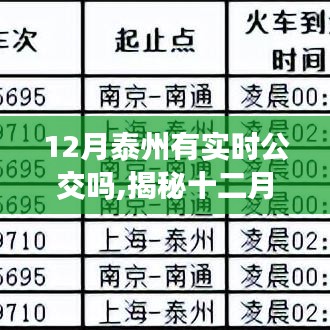 揭秘十二月泰州實(shí)時(shí)公交系統(tǒng)，便捷出行，實(shí)時(shí)掌握