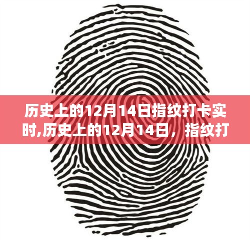 指紋打卡技術的演變之旅，歷史上的十二月十四日回顧與實時發(fā)展觀察
