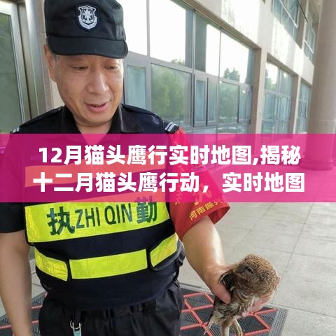 揭秘十二月貓頭鷹行動，實時地圖追蹤的生態(tài)觀察之旅