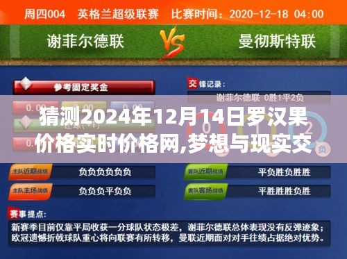 勵志之旅，預(yù)測羅漢果價格實時走勢，夢想與現(xiàn)實交匯于2024年12月14日羅漢果價格網(wǎng)