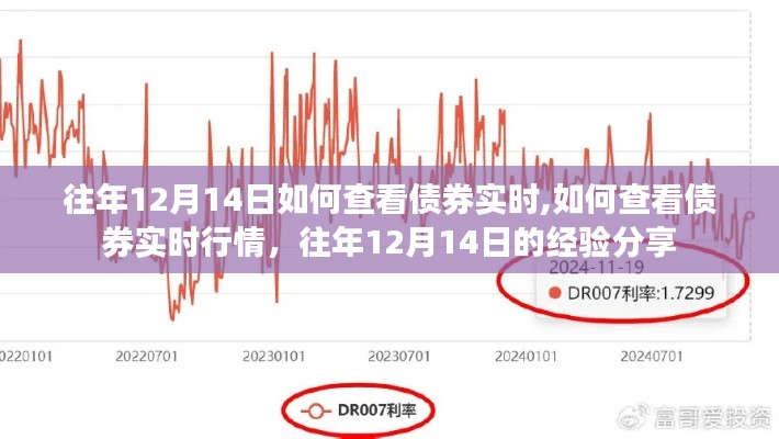 往年12月14日債券實時行情查看經驗分享，如何快速獲取債券實時行情數據？