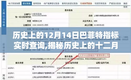 揭秘巴菲特指標(biāo)的實(shí)時(shí)查詢之旅，歷史上的十二月十四日回顧