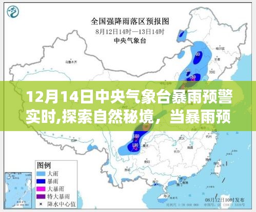 暴雨預(yù)警下的心靈之旅，探索自然秘境的奇妙旅程