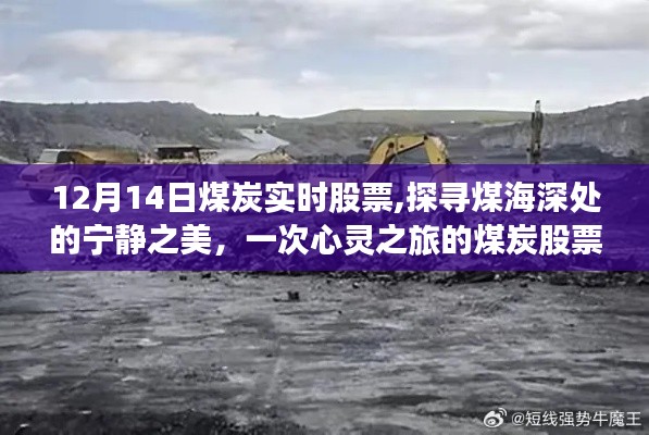 探尋煤海深處的寧靜之美，煤炭股票的心靈之旅（實時行情分析）