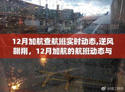 12月加航航班實時動態(tài)，逆風翱翔，學習成長鑄就自信成就的天空