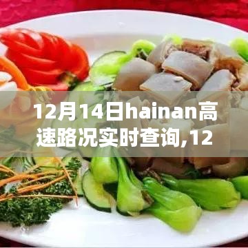 12月14日海南高速實時路況查詢，實時信息的重要性及其影響力解析