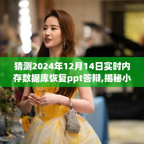 揭秘小巷深處的寶藏，特色內(nèi)存數(shù)據(jù)庫恢復(fù)PPT答辯體驗館在2024年展望與展望的答辯分享