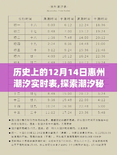 歷史上的12月14日惠州潮汐之旅，潮汐實(shí)時(shí)表與內(nèi)心的寧靜探索