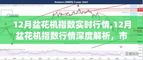 12月盆花機指數(shù)深度解析，實時行情、市場脈絡與未來展望