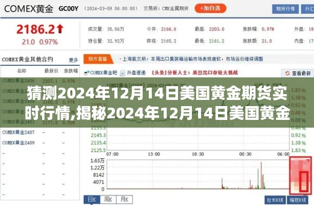 2024年12月14日美國黃金期貨行情預(yù)測與實時市場動態(tài)解析，洞悉市場動向揭秘未來走勢！